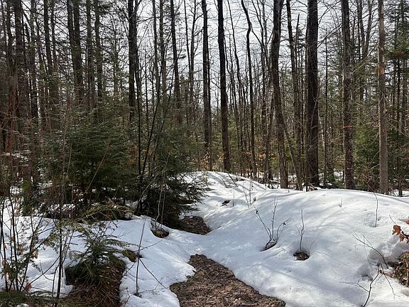 4th image of 360 Dorman Road