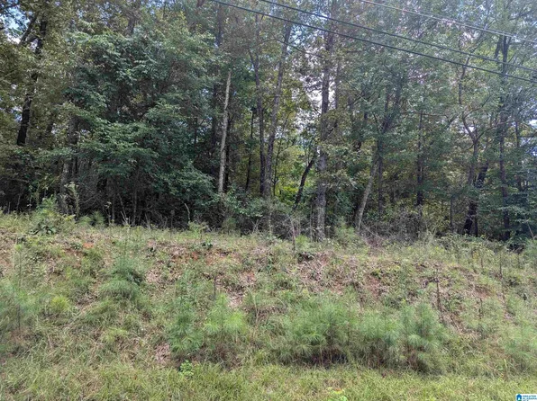 0 Jones Rd Lot 1, Anniston, AL 36207