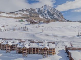 70 Hunter Hill Rd #P-303, Crested Butte, CO 81225