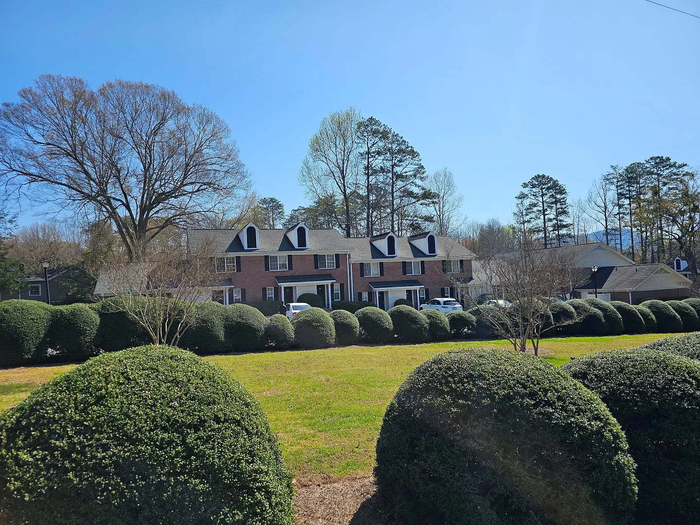 Raintree — Photo 2