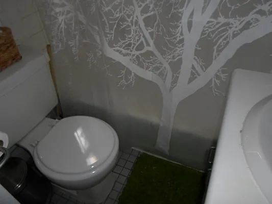 Rented by Sky Management | media 64