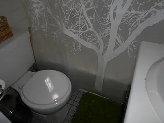 Rented by Sky Management