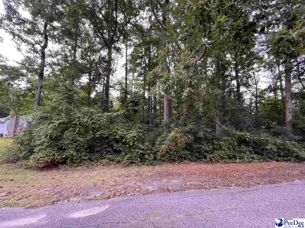 238 Pineneedle Cir, Johnsonville, SC 29555