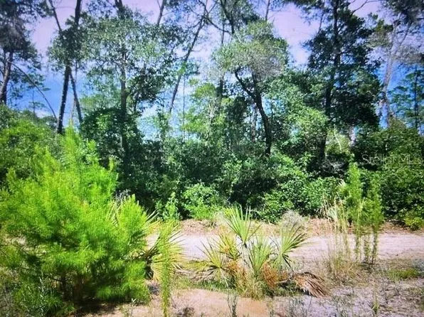 NE 201st Ln Lot 33, Fort Mc Coy, FL 32134