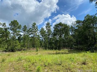 4007 Swamp Deer Rd, New Smyrna Beach, FL 32168