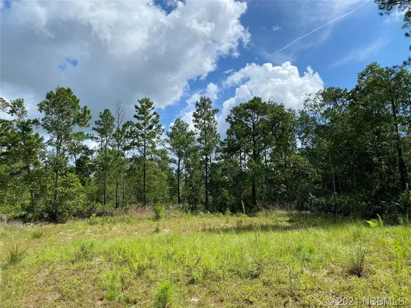 4007 Swamp Deer Rd, New Smyrna Beach, FL 32168
