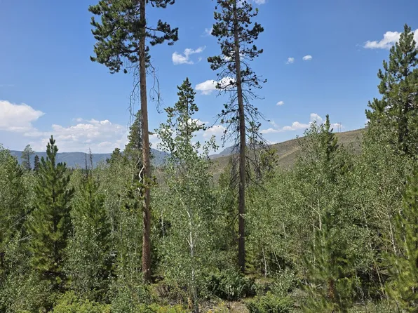 1333 COUNTY RD 881/GRENOBLE ST Street, Granby, CO 80446