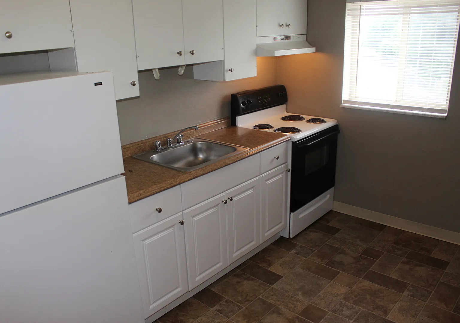 OAK — Photo 2