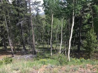 555 Camp Creek Rd, Bailey, CO 80421