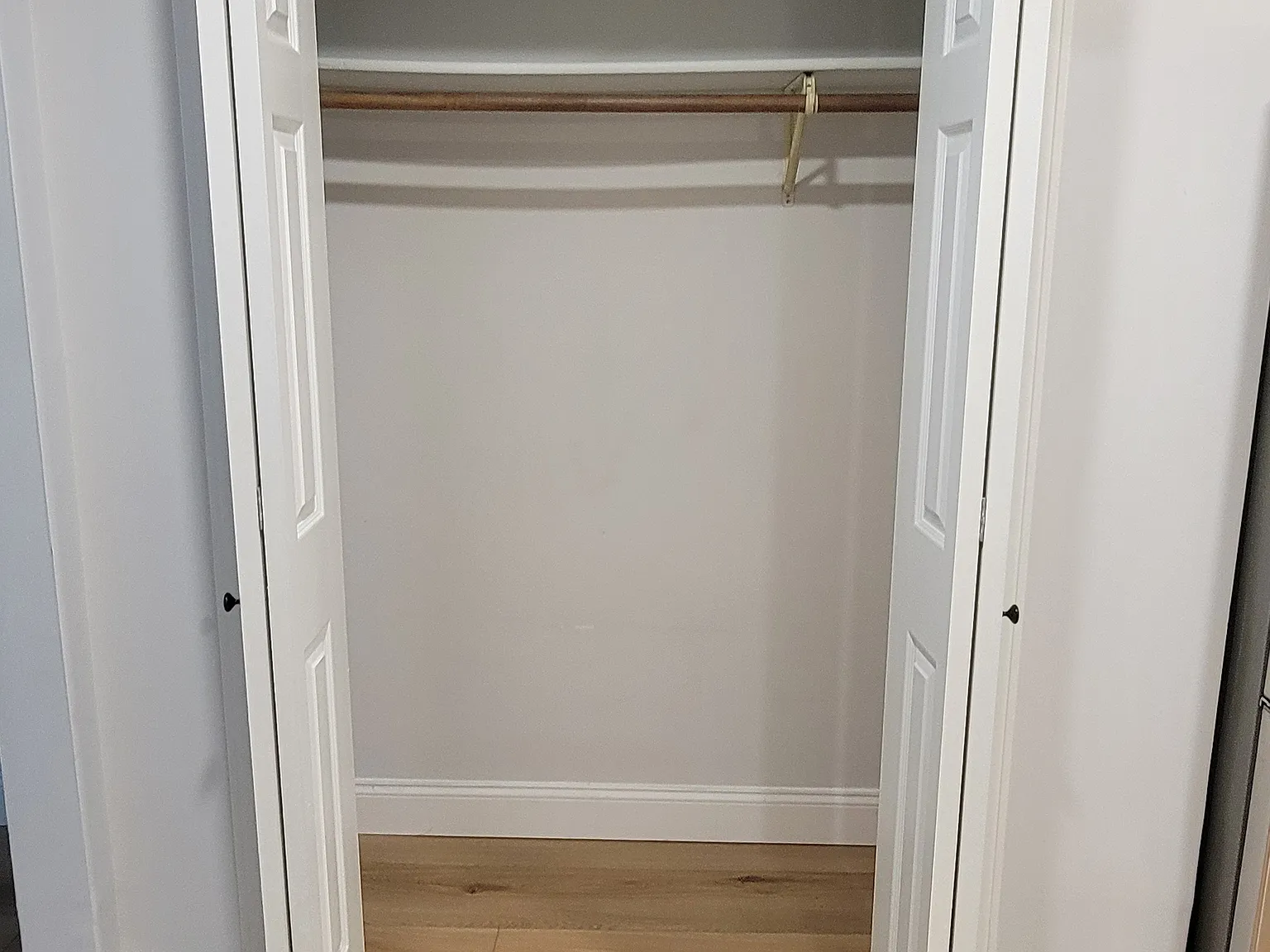 1 bed, 382 sqft, $1,650 — Photo 4