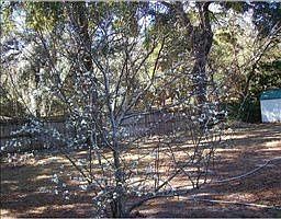 5th image of 34342 Belt Dr