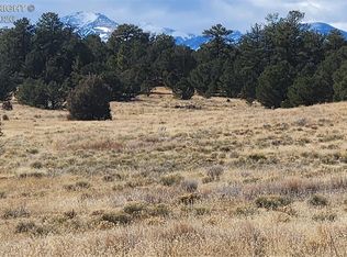 47 White Cloud Dr, Cotopaxi, CO 81223