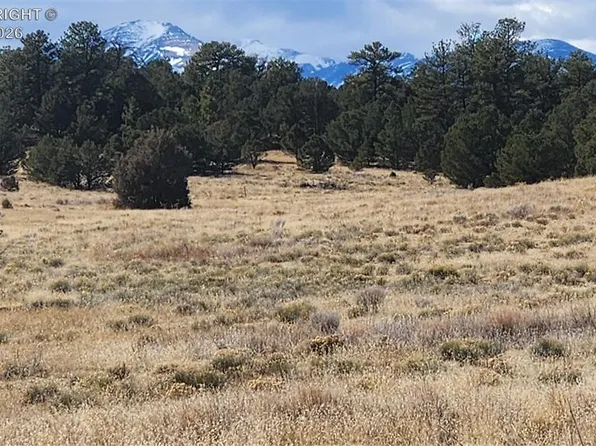 47 White Cloud Dr, Cotopaxi, CO 81223