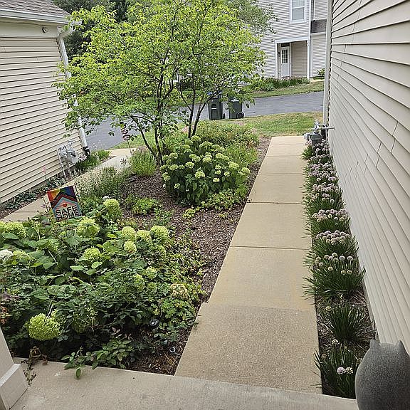 Listing photo 2