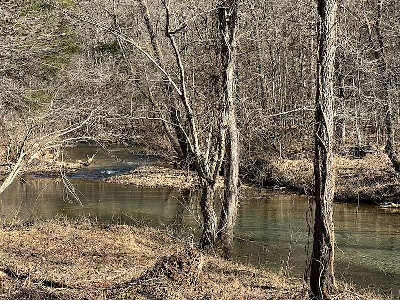 1st image of 139 Driftwood Ln