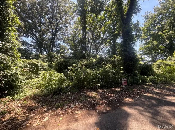 Lots 10 11 S, Poplar Bluff, MO 63901