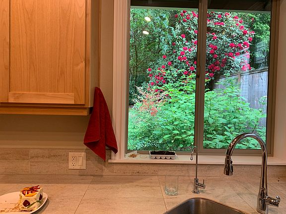 View from the kitchen