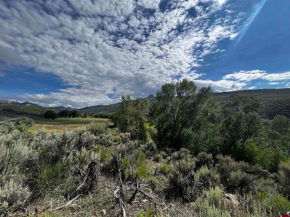 TBD COUNTY 864 aka Little Cimarron Road, Cimarron, CO 81230