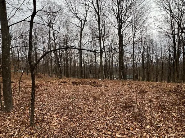 0 Todd Pass, James Creek, PA 16657