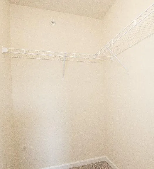 2 Skip Ln — Photo 24