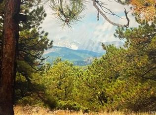 275 Bigbee High Rd, Ward, CO 80481