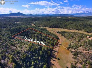 176 Arnold Dr, Cotopaxi, CO 81223