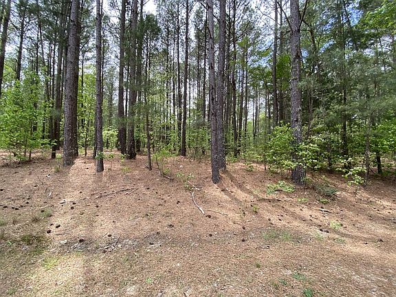 2nd image of 12 Whisper Lake Dr