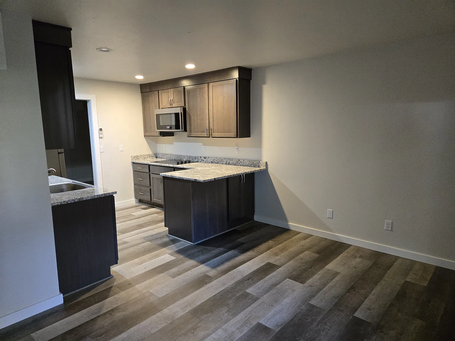 1 bed, 480 sqft, $1,300 — Photo 3