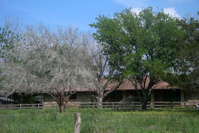 1st image of 183 County Road 381