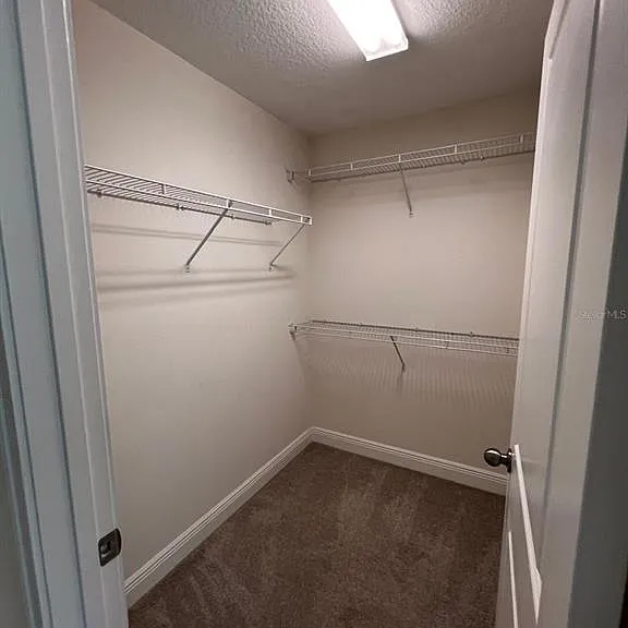 14234 Damselfly Dr — Photo 13