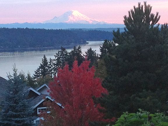 View from the deck - Fall