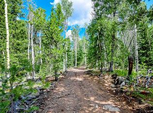 1 Lazy Ranch Rd, Cripple Creek, CO 80813