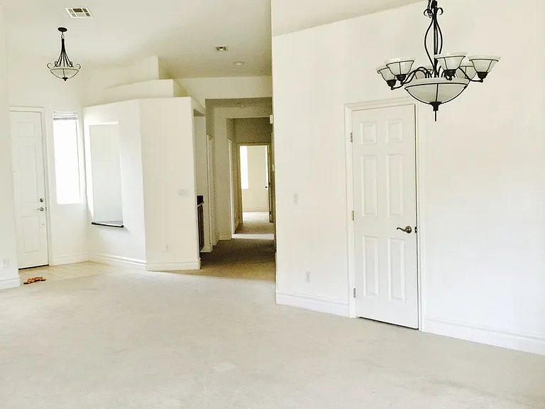 133 Cooks Creek Ct — Photo 10