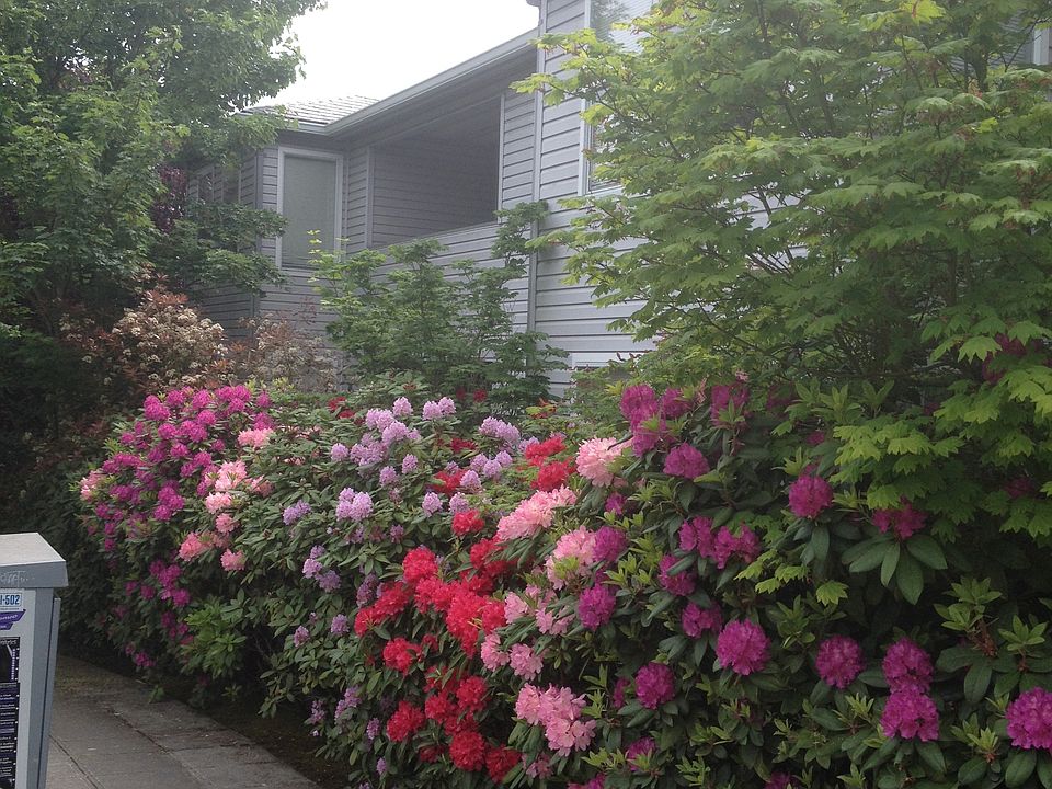Springtime at Sidewalk at Building