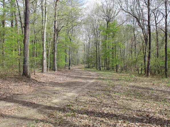 0 Estanaula Rd, Brownsville, TN 38012