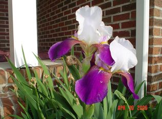 217 Dinnsen Dr, Four Oaks, NC 27524