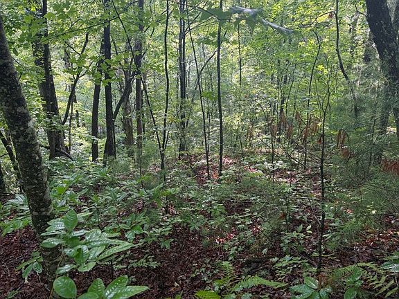 4th image of Charlotte Mountain Rd