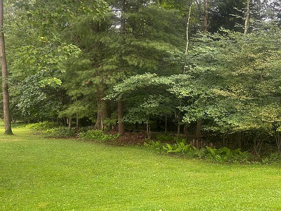 2nd image of Rattlesnake Rd