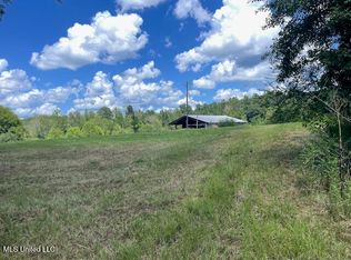 2742 King Rd, Forest, MS 39074