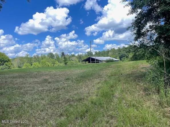 2742 King Rd, Forest, MS 39074
