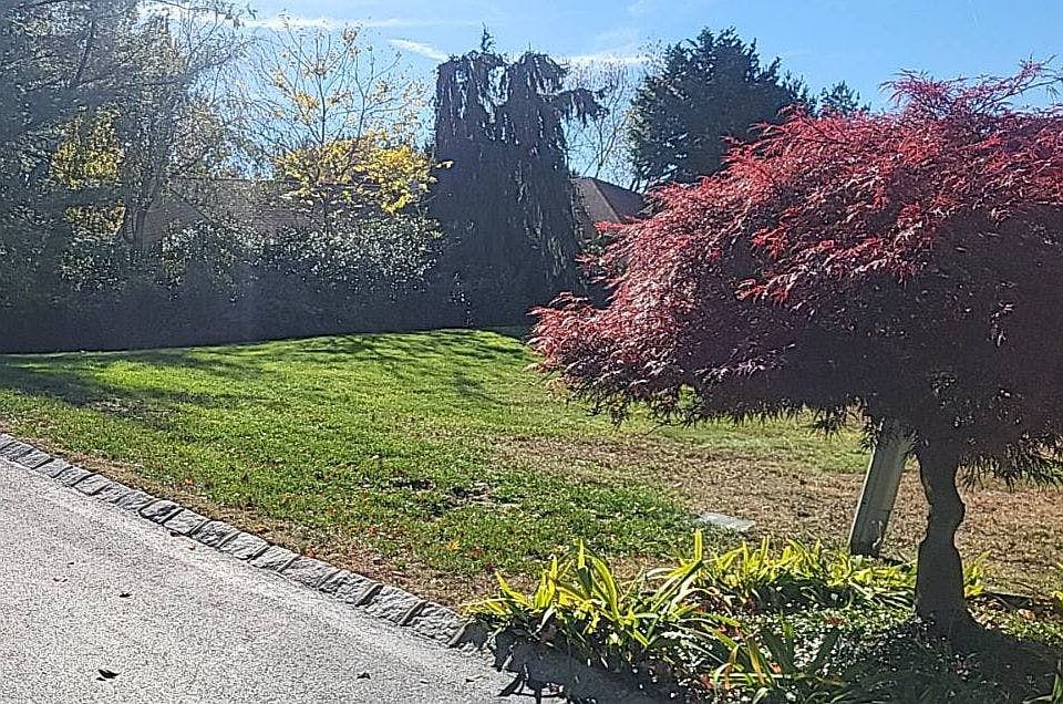 2nd image of 24 Longview Dr