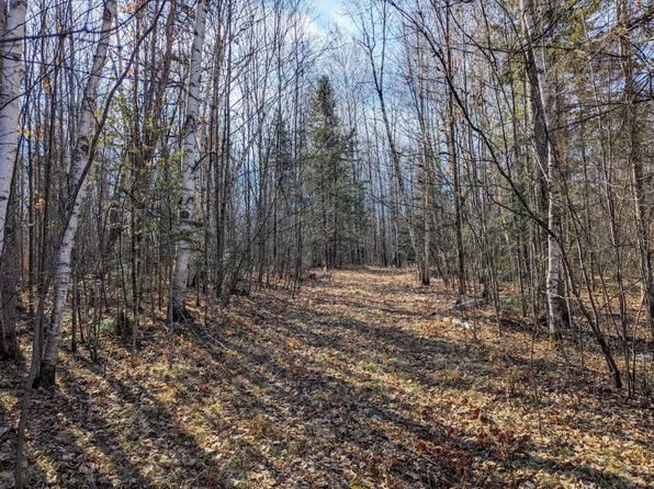 Holy Cross Rd, Fifield, WI 54524