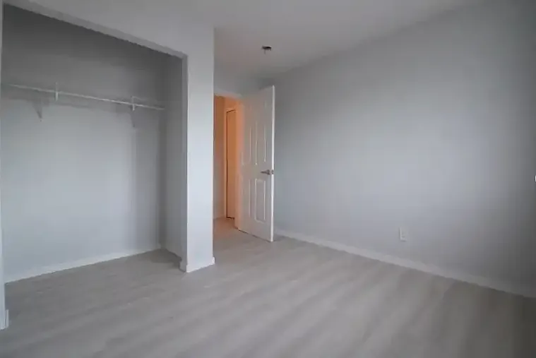 2 bed, 1.0 bath, 800 sqft, $1,500 — Photo 3