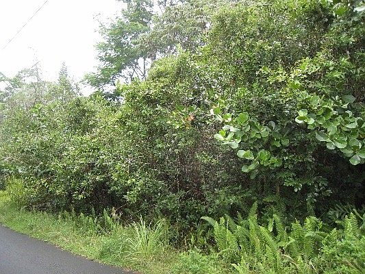 1st image of 15-1439 22nd Ave Lot 337