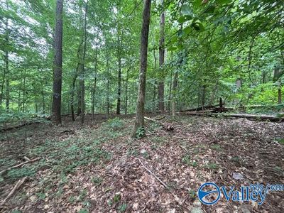 124 Cedar Ln, Attalla, AL, 35954