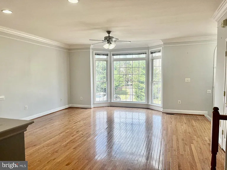 5370 Blue Aster Cir — Photo 5