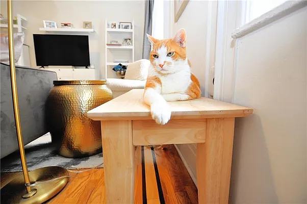 Rented by Buchbinder & Warren | media 20