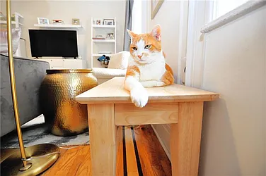 Rented by Buchbinder & Warren