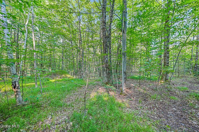5th image of L11.11 Rossman Valley Road
