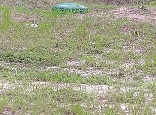 6405 S Coronado Ter, Lecanto, FL 34461